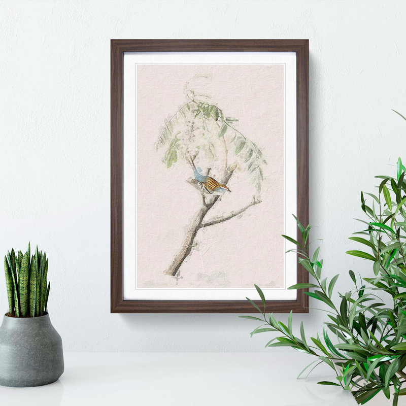 Chipping Sparrow Bird by John Audubon - Picture Frame Painting Print, Walnut Framed, 65cm H x 48cm W x 2cm D