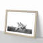 Family of Cheetahs - Picture Frame Graphic Art Print-55731276-55731282