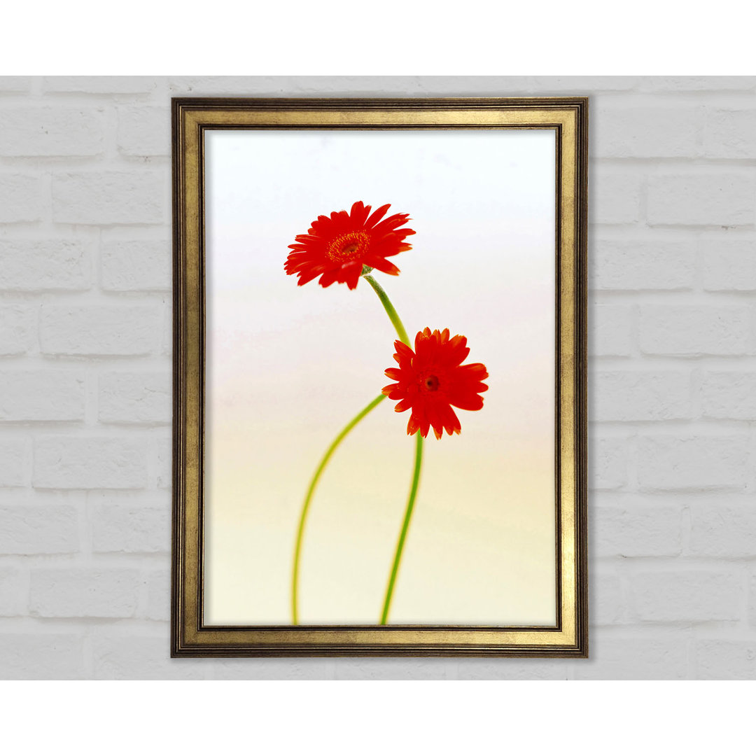 Wandbild Twin Red Daisies