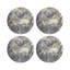 Arcadia Zebra Vegan Leather Round Coasters