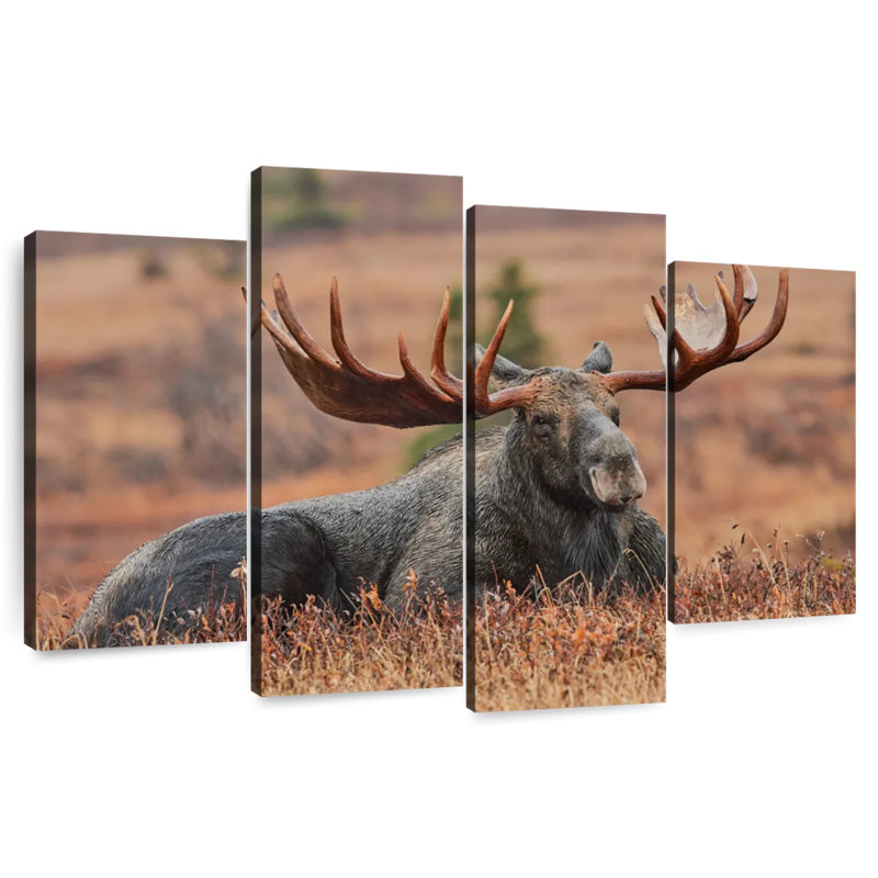 Brampt Summer Moose, 27" H x 43" W
