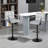 31" H Modern Barstool Upholstered Velvet Low Back Swivel Adjustable Height Counter Stool with Metal Frame-884889886