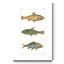 Reproduction d’art sur toile tendue « aquarium d’eau douce »-1754793211