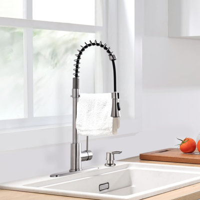 Bathlet Ledbetter Pull Down Kitchen Faucet