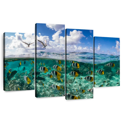 Brampt School Of Butterflyfish