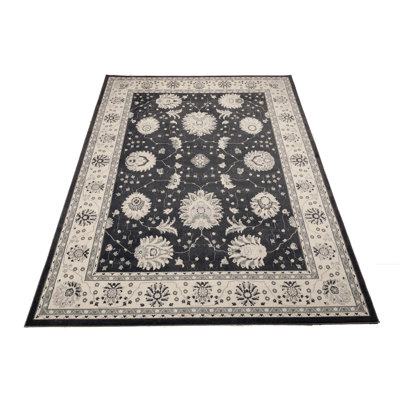 Barkell Oriental Area Rug