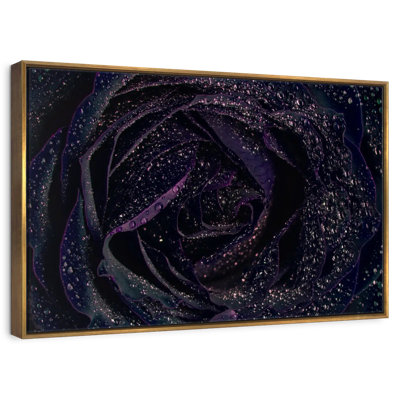 Rose noire scintillante