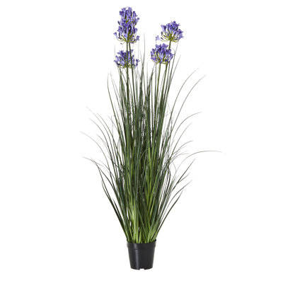 Andaiye 120cm Plant in Pot