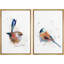 Bird " Pastel Watercolor Explosion Country Bird Portraits Animals Wall Pictures Modern Rustic Chic " 2 - Pieces-98554259-98554260