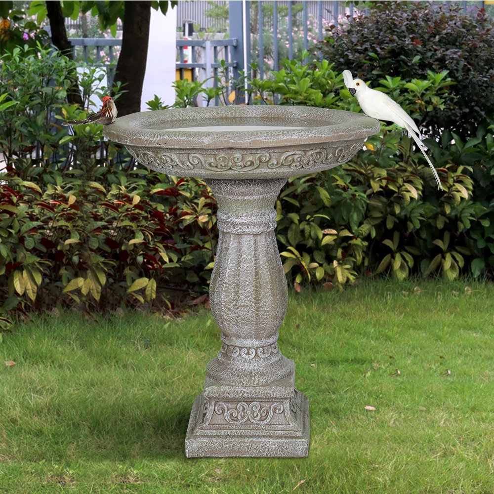 Astoria Grand Ayumi Concrete / Cement Birdbath & Reviews | Wayfair