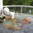 Killingly Washable Abstract Indoor / Outdoor Rug-847799614
