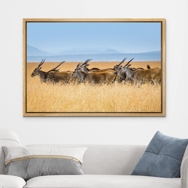 Wild Wild Safari Jungle Antelope Gazelle sur toile, Cadre naturel, H 24 po x l 36 po x P 1,5 po