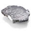 Satyria Coffee Table