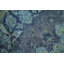 Tapis traditionnel en laine 8 x 12