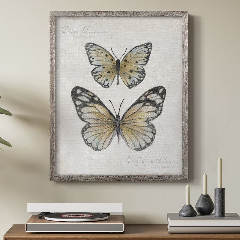 «Vintage Butterflies I», reproduction encadrée - bois massif, H 15 po x l 12 po