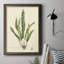 Curtis Ferns IV Curtis Ferns IV - Peinture sur toile encadrée-1169800433