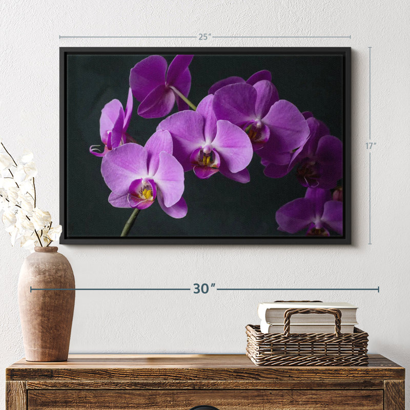 Impression sur toile Fancy Purple Orchids, H 17 po x l 25 po