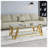 Modern Stainless Steel Coffee Table-705308415