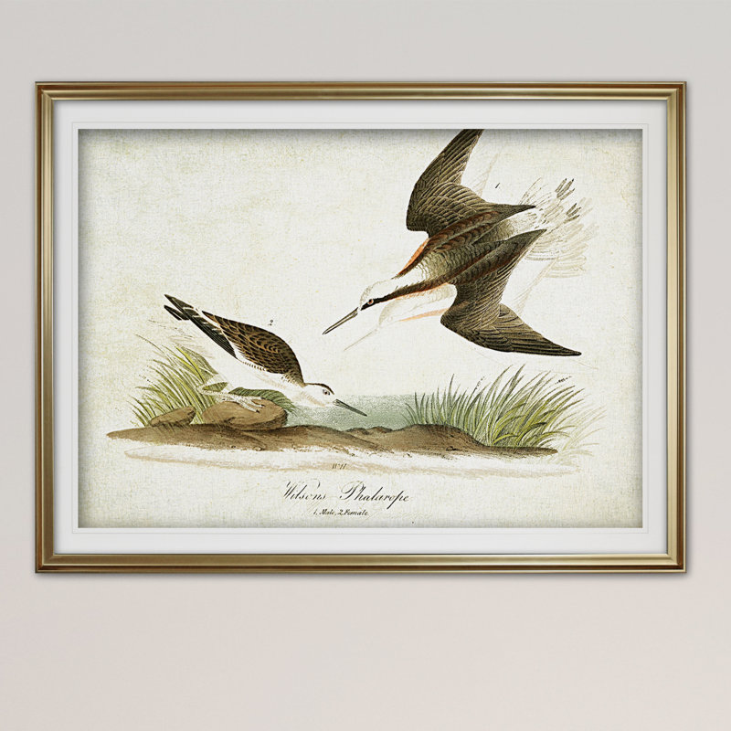 « volière assiette xxi », impression, Cadre doré, H 31 po x l 43 po x P 1,5 po, Blanc mat