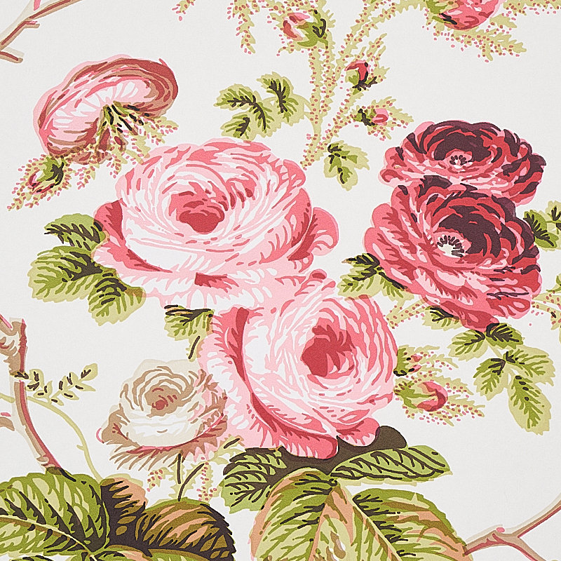 Papier peint Salisbury, Rose