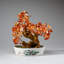 Genuine Carnelian Gemstone Bonsai Tree in Oval Ceramic Pot (9")