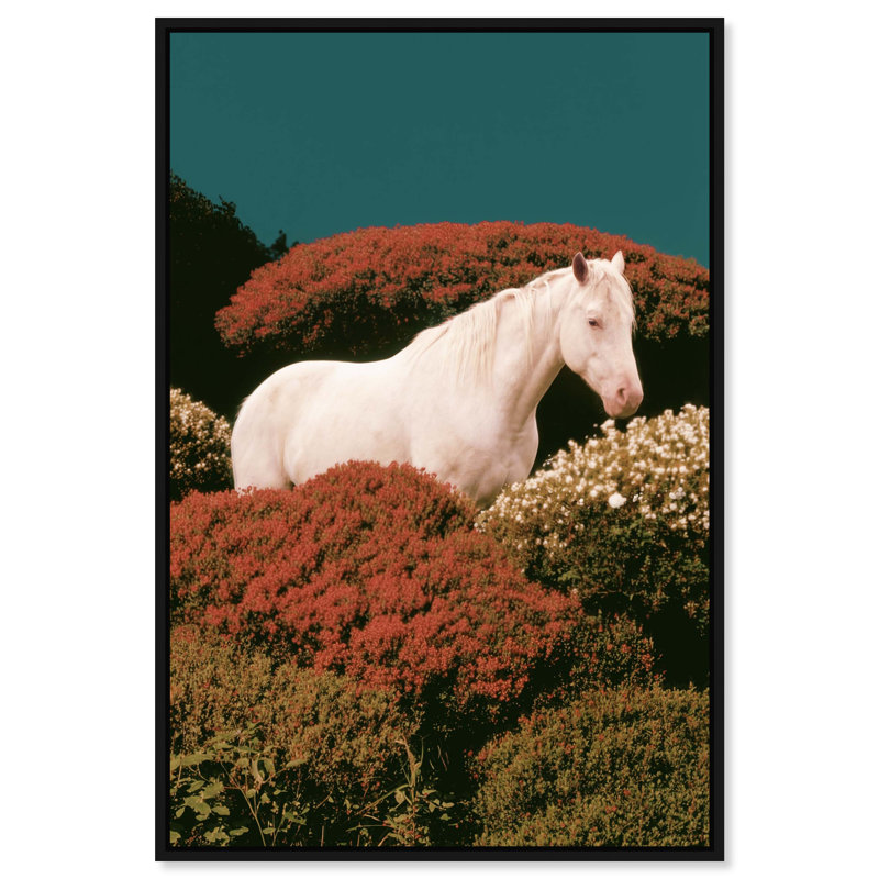 The Prince Print by Oliver Gal, 17"H x 25"W, Black Floater Frame