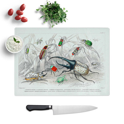 Tempered Glass Assortment of Beetles Pl. 71 Chopping Board