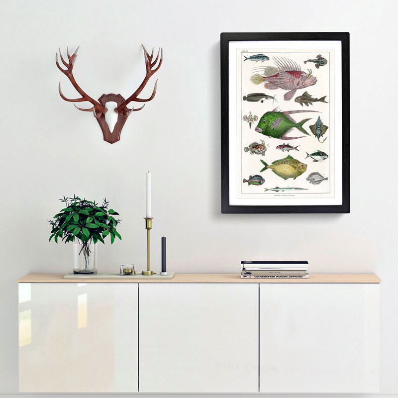 Various Fishes XXXIII by Oliver Goldsmith - Picture Frame Painting Print, 65cm H x 48cm W x 2cm D, Black Framed