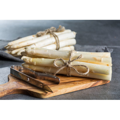 German White Asparagus by Barmalini - Wrapped Canvas Print