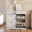 Armoire à chaussures avec 2 tiroirs
