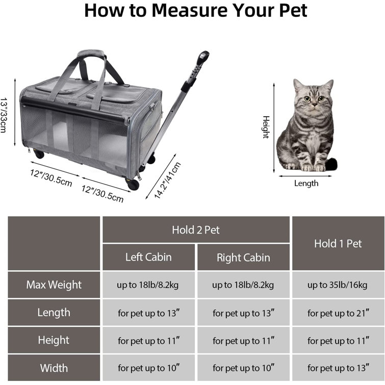 https://assets.wfcdn.com/im/39092585/resize-h755-w755%5Ecompr-r85/2435/243515679/Cat+Rolling+Strap%2C+2+Cats%2C+Dual+Compartment+Pet+Rolling+Strap+With+Wheels%2C+Suitable+For+2+Pets%2C+Can+Bear+35+Pounds+%28Approximately+15.9+Kilograms%29%2C+Super+Ventilated+Design%2C+Very+Suitable+For+Travel%2FHiking%2FCamping.jpg