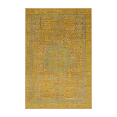Oriental Indoor Rug