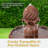 Malpelo Traditional 2-Tier Resin Solar Water Fountain with Battery Backup - Rust-1036765756