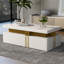 Aftina Coffee Table with Storage-1364572958
