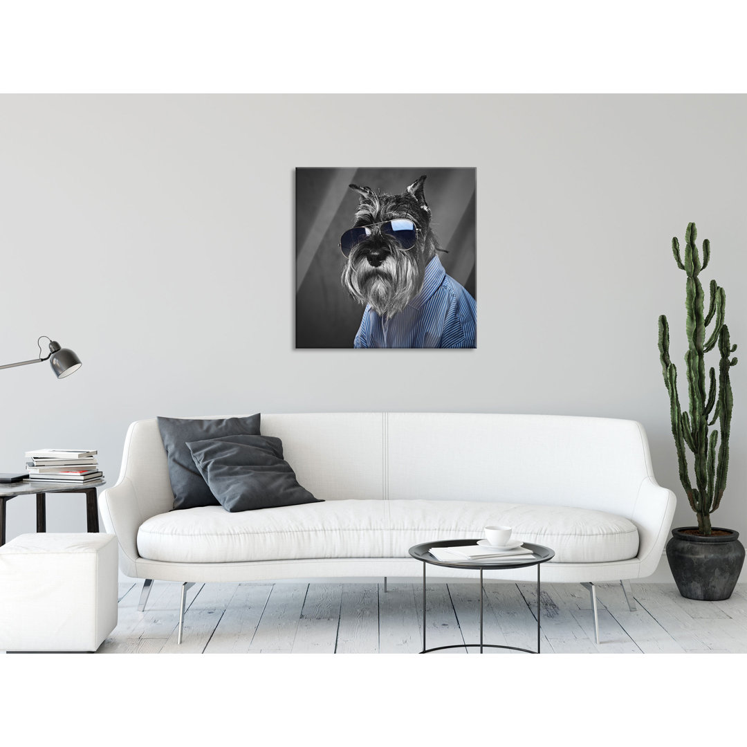 Ungerahmter Grafikdruck auf Glas "Funny Dog with Shirt and Sunglasses"