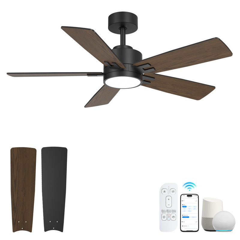Smart Ceiling Fan With Light And Remote, 5 Dual-Sides Reversible Blades, Remote & App Control, 42", Black