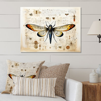 Beige And Yellow Moth Blueprint - Insects & Bugsmetal Wall Art MT134705