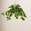24 po Pothos artificiels résistants aux rayons UV avec 50 lumières DEL blanc chaud dans un panier suspendu blanc (intérieur / extérieur)