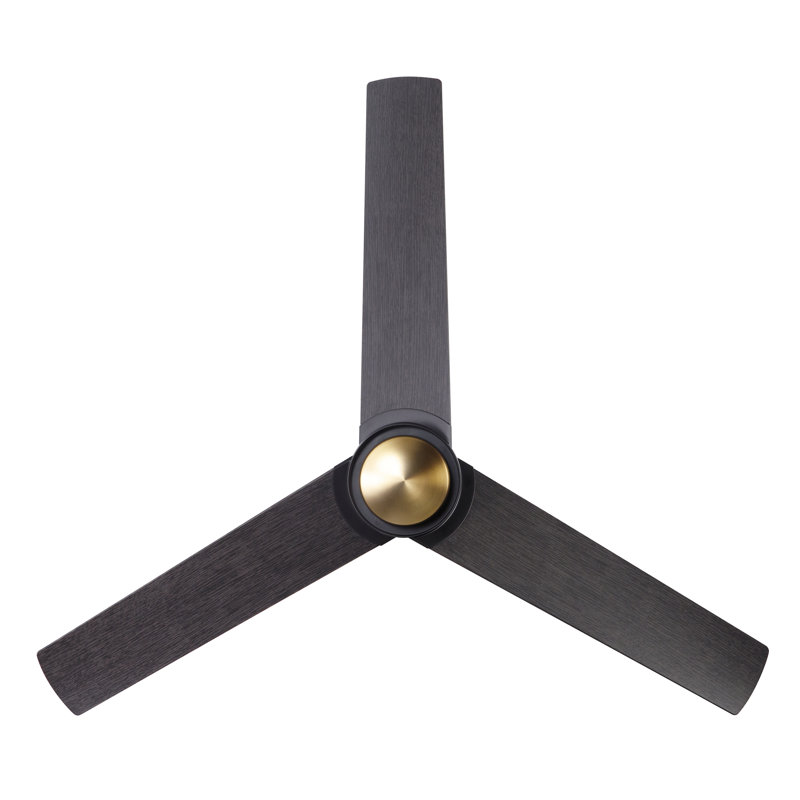 Ambit Flush Mount Ceiling Fan, Satin Brass/Matte Black, Wall/Remote Combo Controls, Ebony