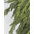 Artificial Cedar Swag Garland 8 Ft