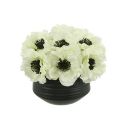 Creative Displays, Inc. Anemone Floral Arrangement in Small Ceramic Pot
