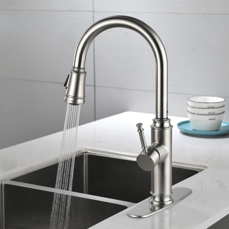 Topcraft Pull Down Single Handle Kitchen Faucet