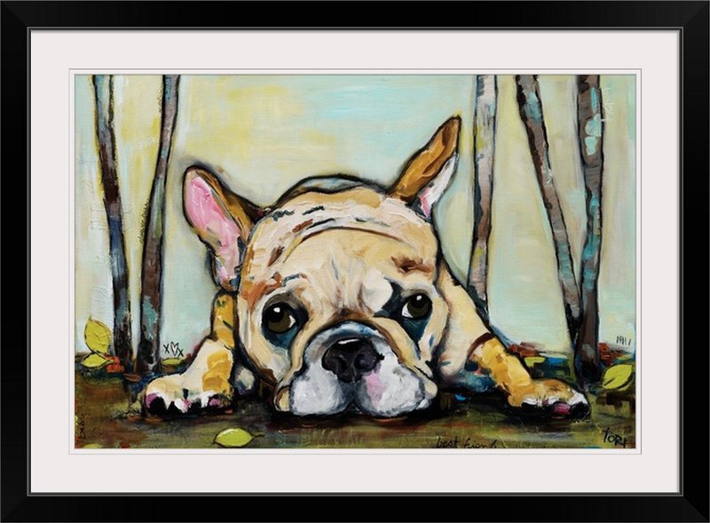 «french bouledogue print, Cadre noir, H 32 po x l 44 po x P 1 po