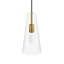 Luminaire suspendu 1 lumière en noir transparent-708461130