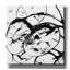  «Silver Dollars 2» par Erin Clark, art mural sur toile, 12 po x 12 po-1934847775