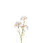 Cherry Blossom Arrangement-268176596-268176599
