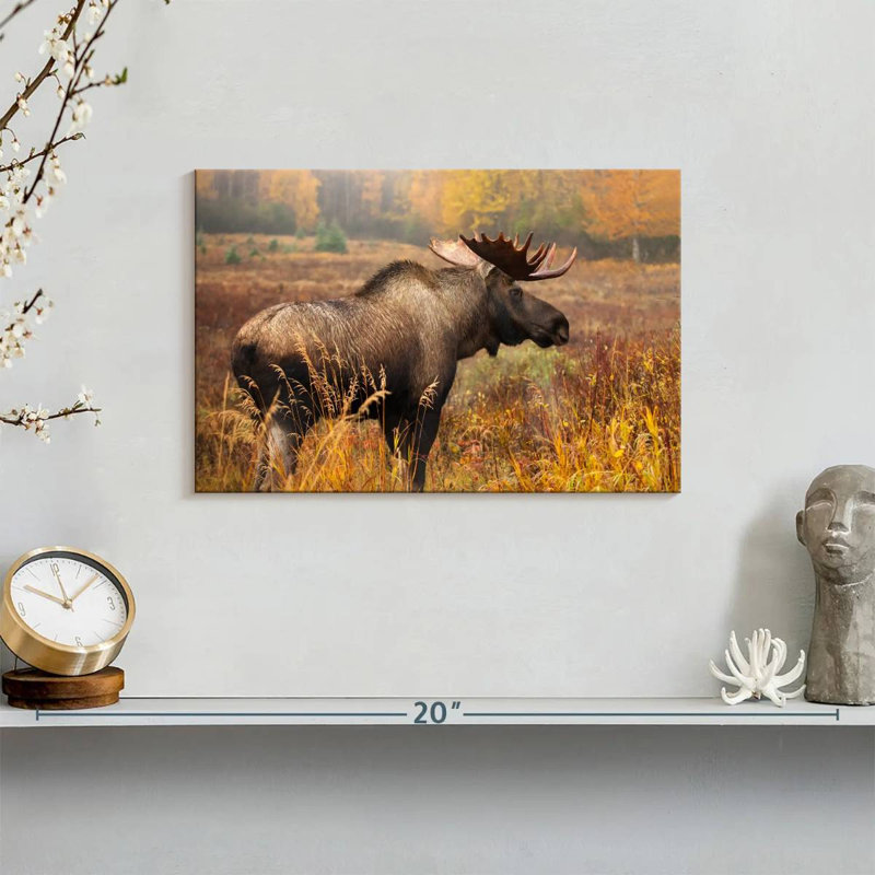 Crowle Mighty Alaskan Moose, H 8 po x l 12 po