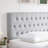 Aveigha Upholstered Headboard-2008109321-2008109324