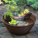 Ebern Designs Amaani Weather Resistant Fountain with Light & Reviews ...