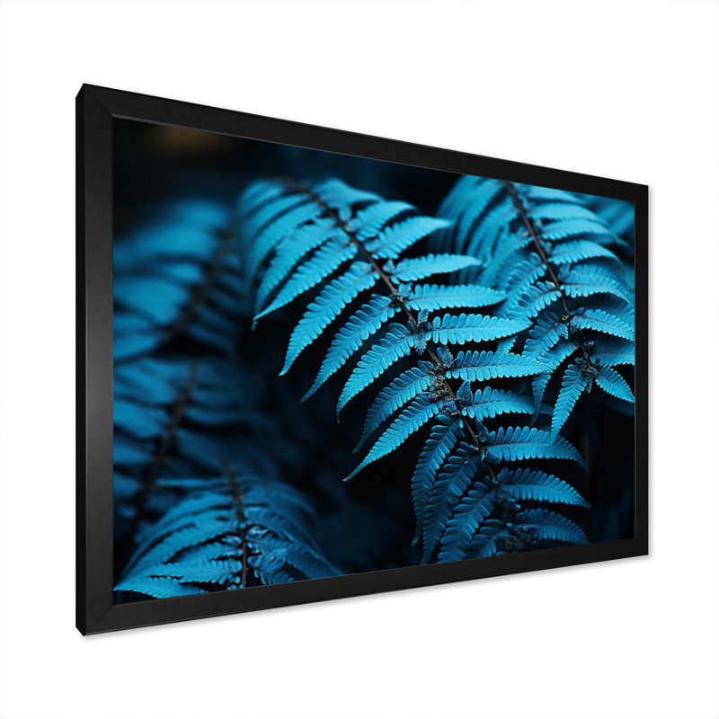 Ferns Turquoise Whimsy I - imprimé, H 12 po x l 20 po x P 1 po, Cadre simple noir